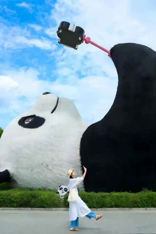 Giant panda in Chengdu, China on a sunny day