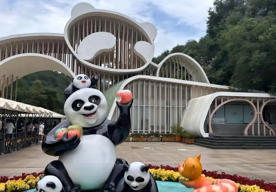 Giant pandas at Dujiangyan Panda Valley, Sichuan, China during Panda travel itineraries