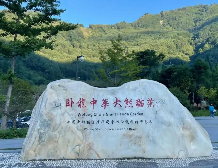 Wolong Shenshuping China Giant Panda Base in natural mountain habitat | Panda travel itineraries