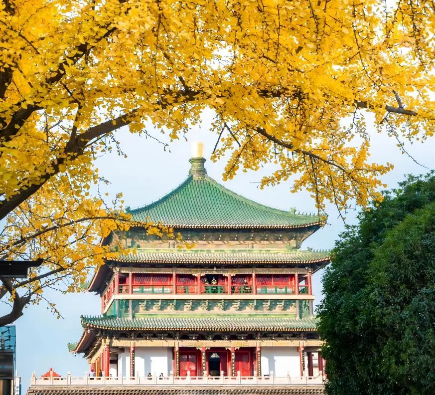 Panoramic view of Xi’an Bell Tower in autumn, surrounded by golden trees and showcasing historic Chinese architecture