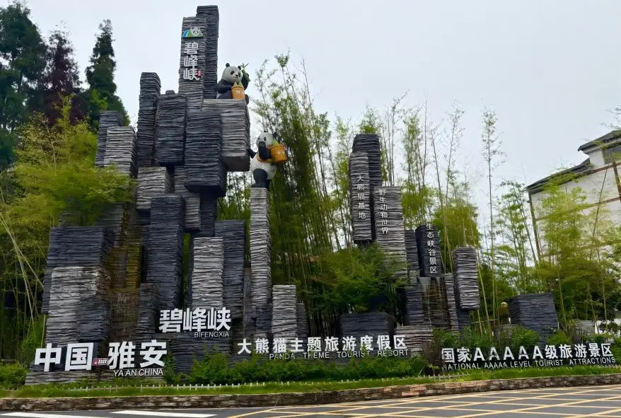 Ya'an Bifengxia Giant Panda Base surrounded by forested mountains | Panda travel itineraries