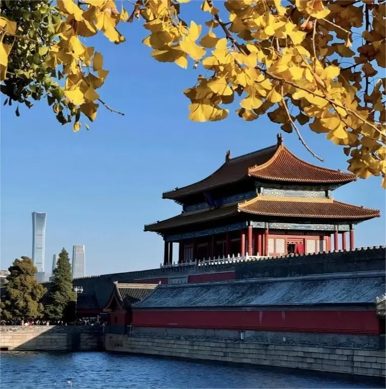 Panoramic view of the Forbidden City on a clear day, a must-see highlight in a Beijing 3-Day Itinerary.