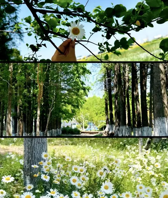 A lush, green summer scene at Dianshan Lake, Shanghai, with cool, clear water and abundant vegetation along the shore.