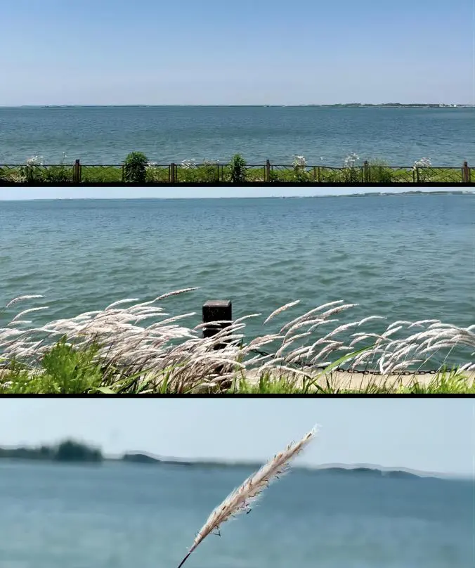 Scenic view of Dianshan Lake — a relaxing stop on this Shanghai 3-day itinerary