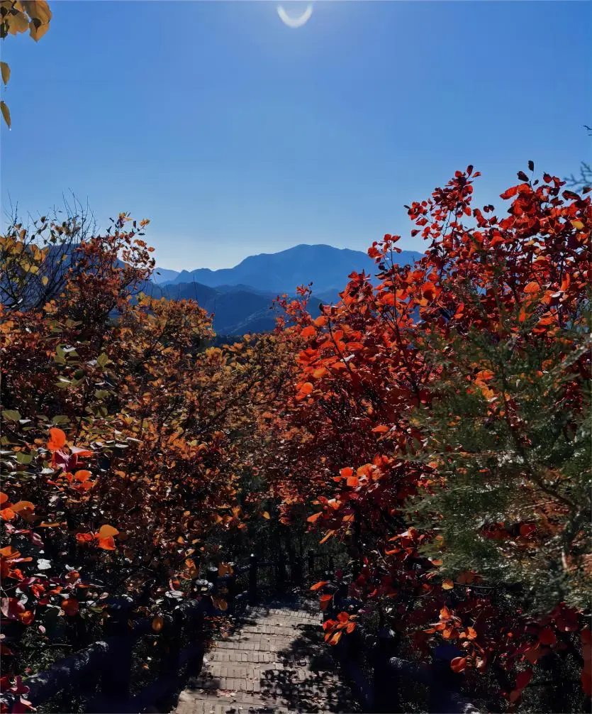 Scenic autumn trail in Badaling National Forest Park, Red Leaf Ridge framed by colorful trees, showcasing the forest’s seasonal beauty.