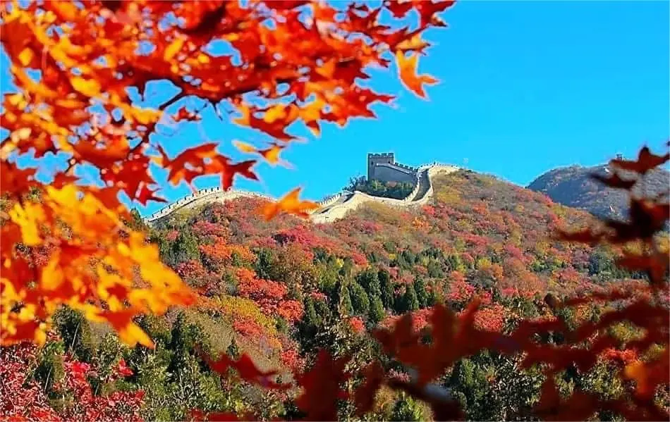 Badaling Great Wall in autumn, Beijing, China