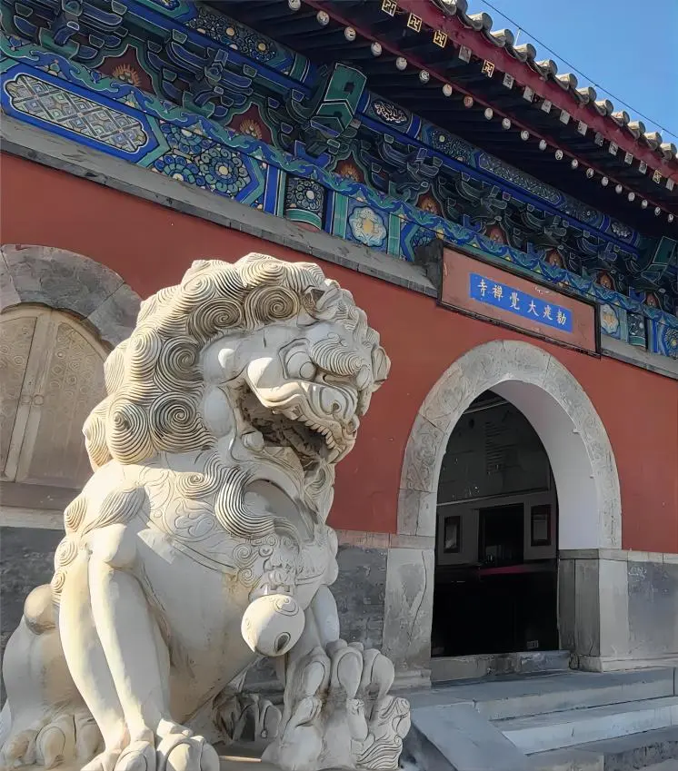 Dajue Temple, Beijing: Where Zen Meets Nature in the Western Hills