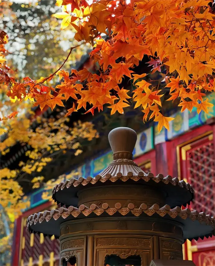 Fragrant Hills Park (Xiangshan Park, Beijing): A Seasonal Fairyland of Nature and Imperial Elegance