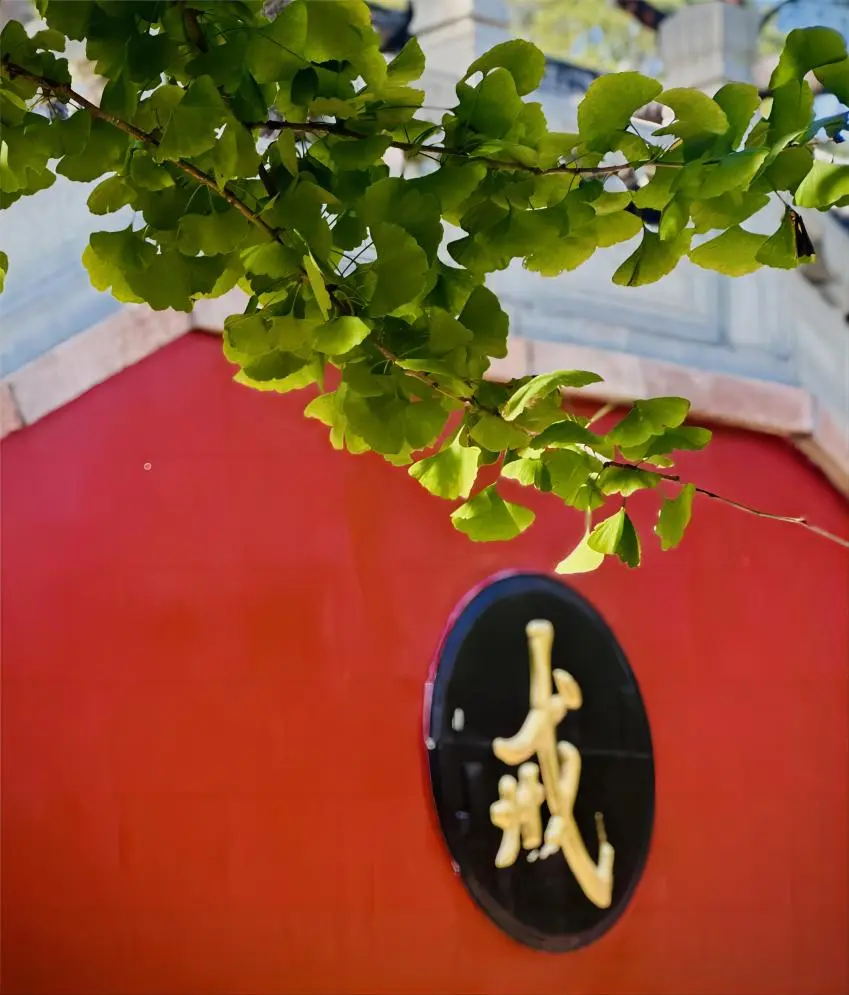The sacred Ordination Altar (Jietan) at Jietai Temple, Beijing, where monks receive precepts