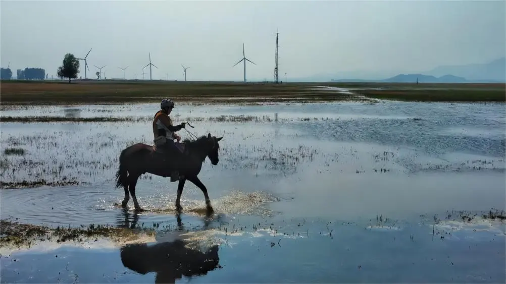 Tourists enjoying horse riding at Kangxi Grassland, Beijing, across vast open plains.