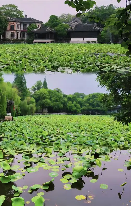 Xiaolianzhuang (Little Lotus Garden) in Nanxun Water Town from Shanghai, featuring lotus ponds and classical Jiangnan architecture.