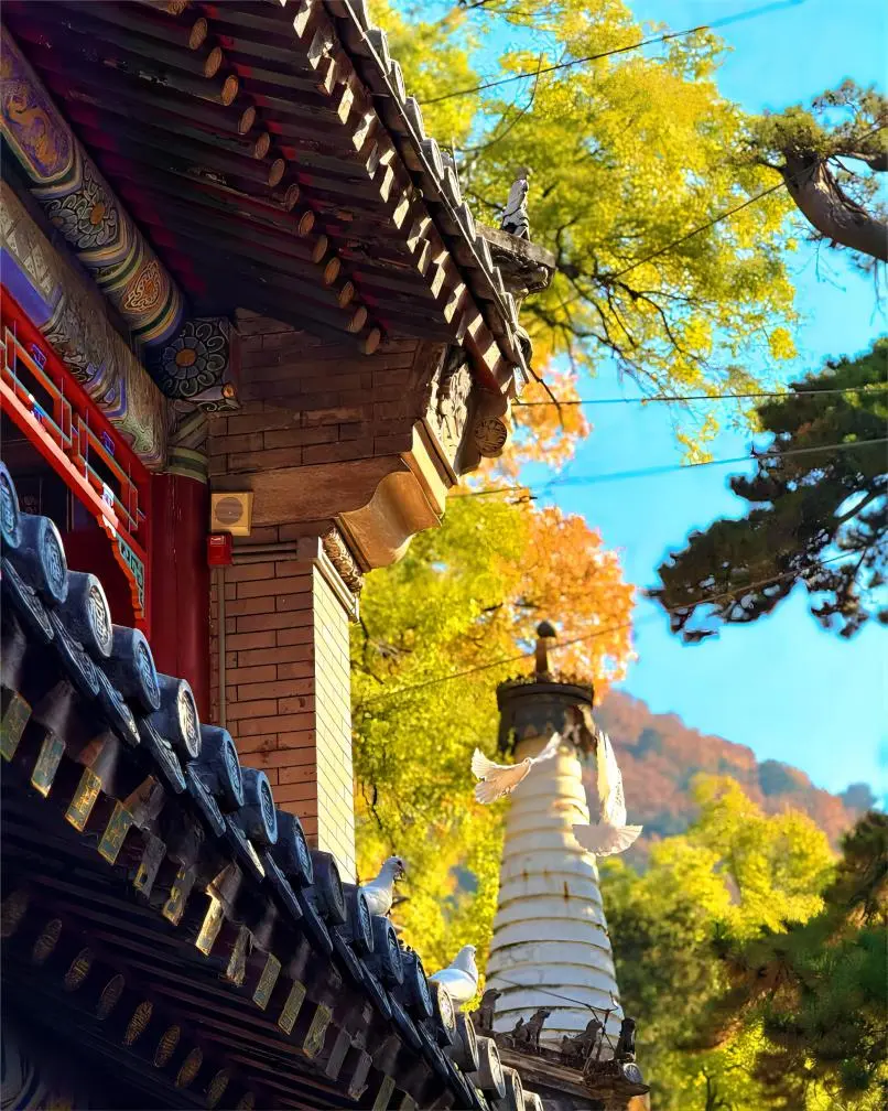 Sunlight illuminating a corner of Tanzhe Temple, showcasing serene architecture