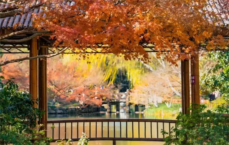 Flower Harbor with koi fish at West Lake, Hangzhou, a scenic stop on a West Lake travel guide itinerary