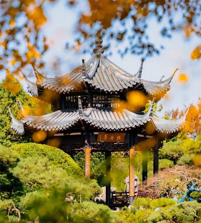 Hangzhou West Lake Day Trip from Shanghai: Complete Travel Guide