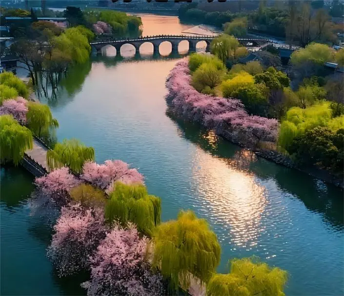 Morning view of Su Causeway at West Lake, Hangzhou, a highlight of a West Lake day trip from Shanghai