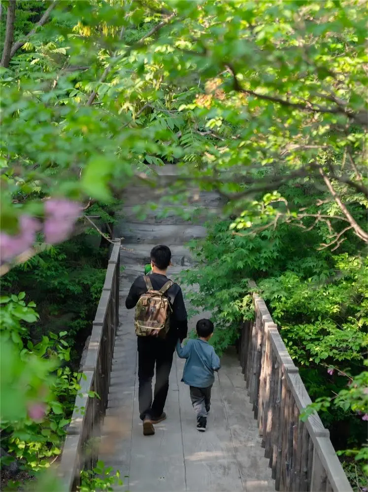 Hiking trail through Wulingshan Mountain in Beijing, with tourists walking amid scenic forests and mountainous landscapes.