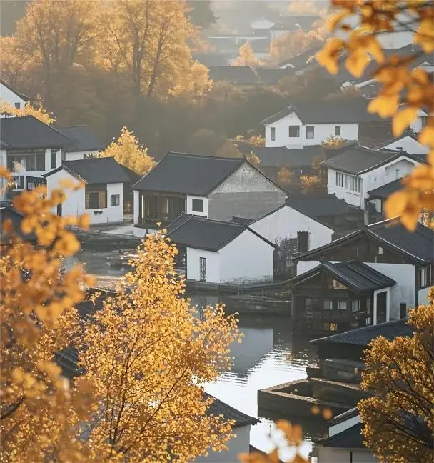 Autumn colors along Wuzhen’s canals, adding seasonal charm to a Wuzhen day trip from Shanghai.