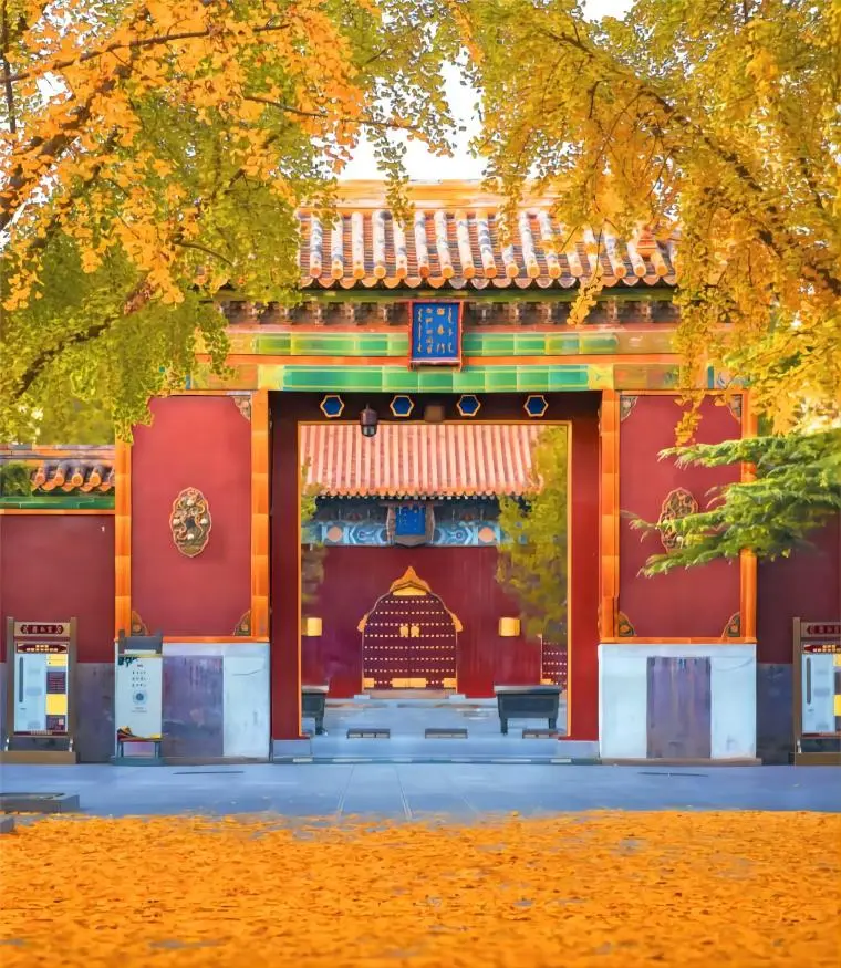 Autumn scene at Yonghe Lama Temple’s main gate, with golden leaves highlighting the temple’s red walls and yellow rooftops.