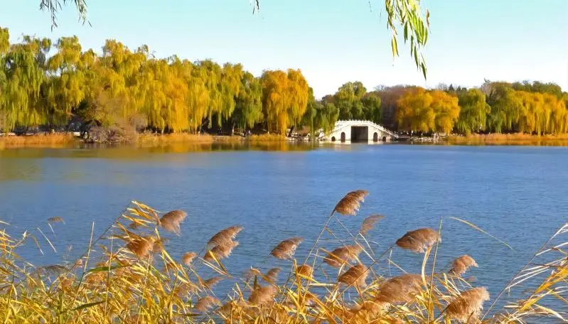 Autumn scenery on the lake at Yuanmingyuan (Old Summer Palace), reflecting tranquil waters and historic ruins.