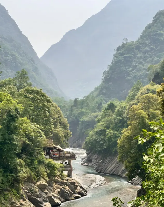 Shenxigou Earthquake Site in Chengdu Hongkou Nature Reserve, showing tilted rock layers and twisted trees as a memorial and geological landmark.