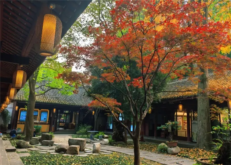 Autumn scenery at Du Fu Thatched Cottage in Chengdu, featuring golden ginkgo trees and tranquil pathways.