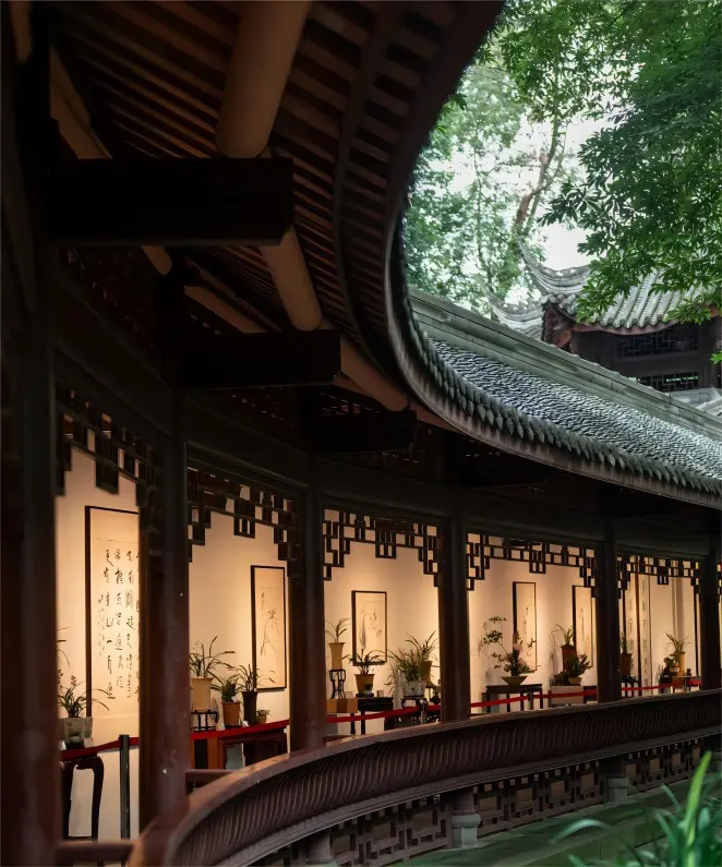 Orchid exhibition at Du Fu Thatched Cottage in Chengdu, displaying elegant seasonal floral collections.