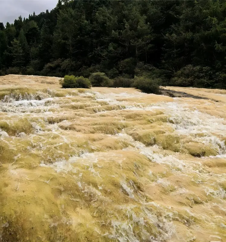 Golden Sand Paving the Ground travertine shoal at Huanglong, Sichuan