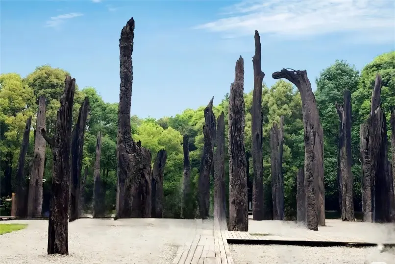 Phoebe Zhennan Forest (Wūmù Lín) at Chengdu Jinsha Site Museum