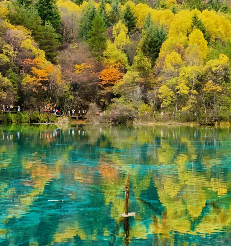 Five Flower Lake at Jiuzhaigou Scenic Area, Sichuan, China