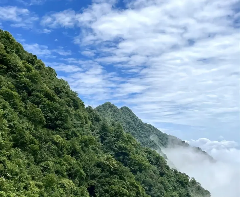 Clear-day scenery of Mount Zhaogong with bright skies, forested slopes, and open mountain views.