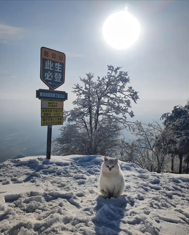 Exploring Mount Zhaogong (Zhao Gongshan): China’s Mountain of Wealth, Myth, and Wild Beauty