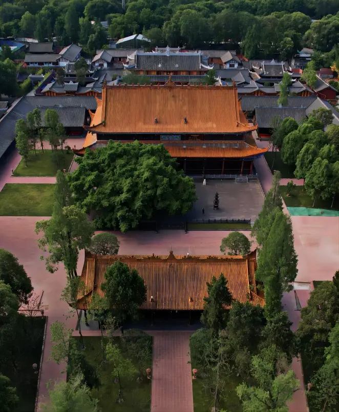 Aerial view of Zhaojue Temple in Chengdu surrounded by forest
