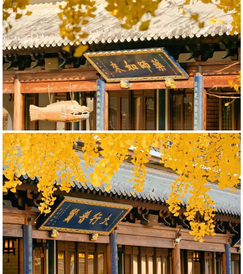 Autumn scenery at Zhenru Temple in Shanghai, with golden leaves and serene temple courtyards.