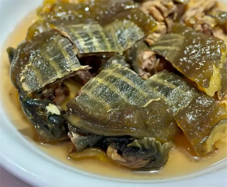 Zhuangyuanlou Grand Hotel’s Shanghai Zao Huo drunken delicacy featuring marinated softshell turtle prepared in traditional rice-wine style.