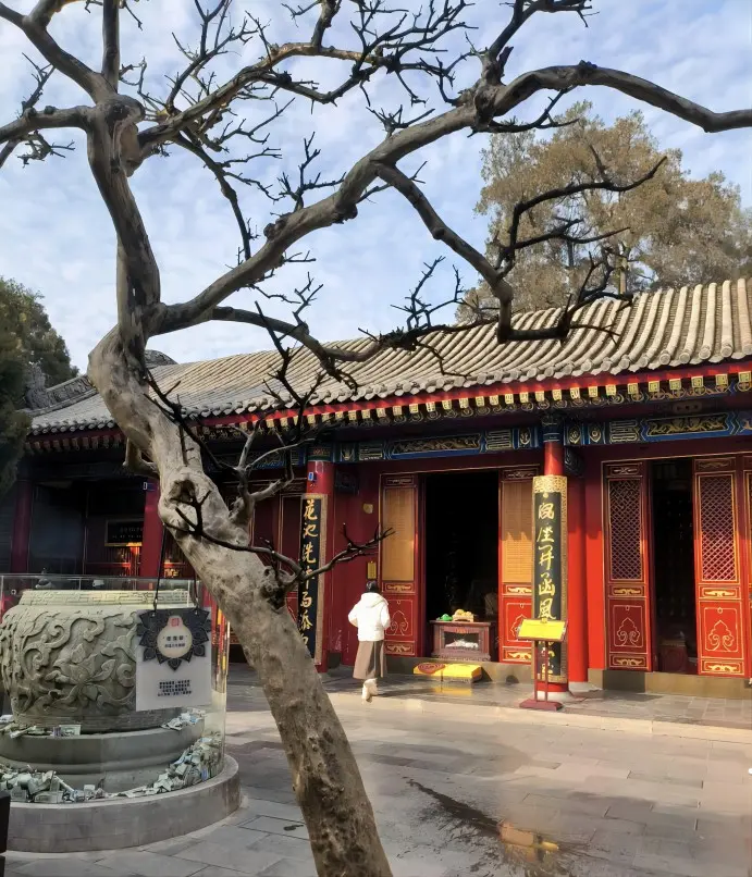 The famous “Tickle Tree” in the west courtyard of Guangren Temple in Xi’an