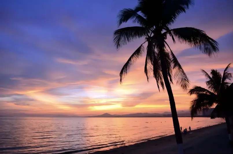 Sunset at Coconut Dream Corridor along Sanya Bay, with palm trees and orange sky
