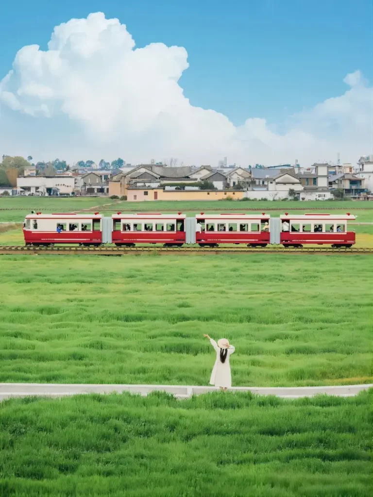 Spring wheat fields and traditional houses in Xizhou near Dali China