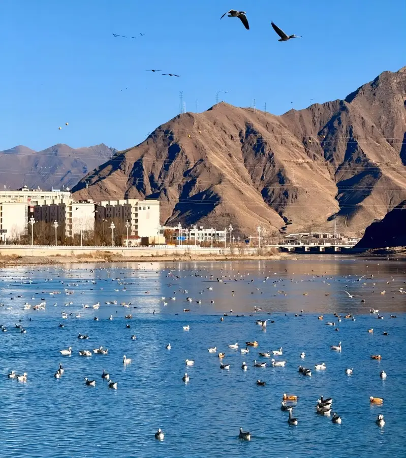 The scenic Lhasa River flowing through the heart of Tibet’s capital, Lhasa.