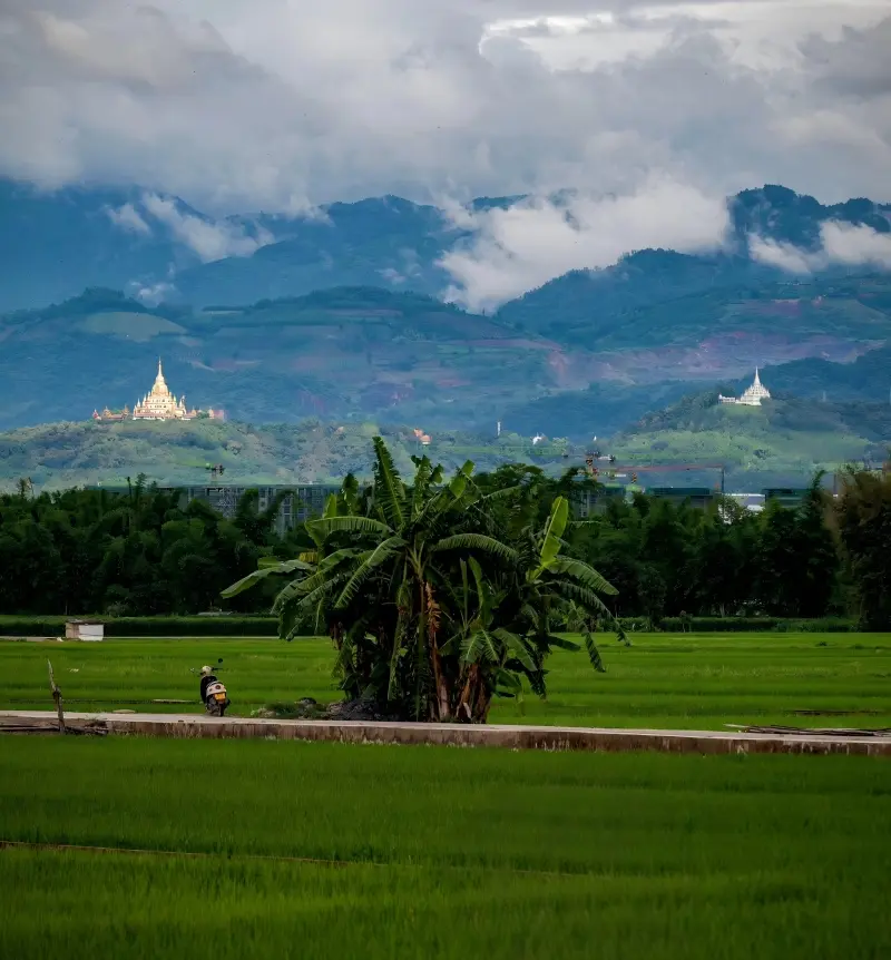 Summer countryside scenery near Mangshi with green landscapes and peaceful views.