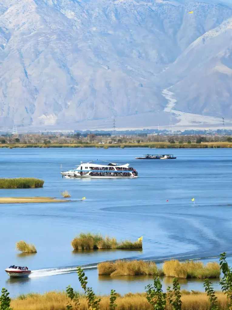 A scenic view of Mingcui Lake National Wetland Park, featuring lush reeds and diverse birdlife.
