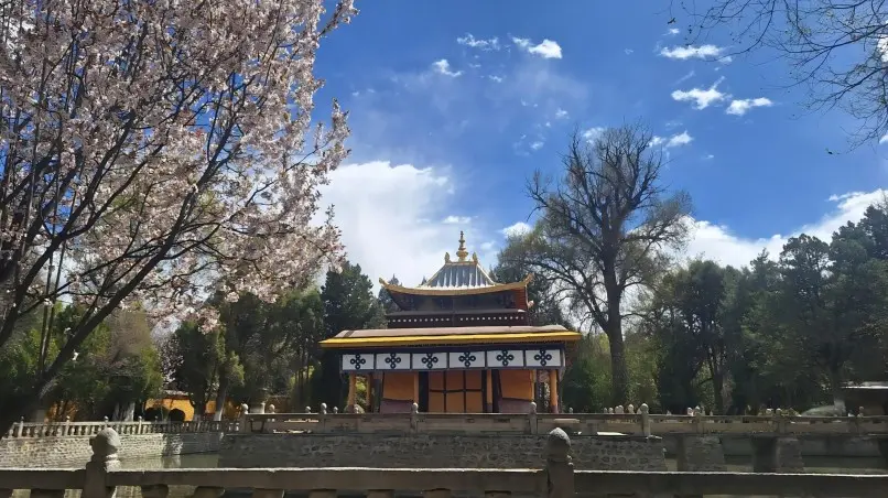 Spring flowers blooming at Norbulingka, the summer palace of Tibetan Dalai Lamas.
