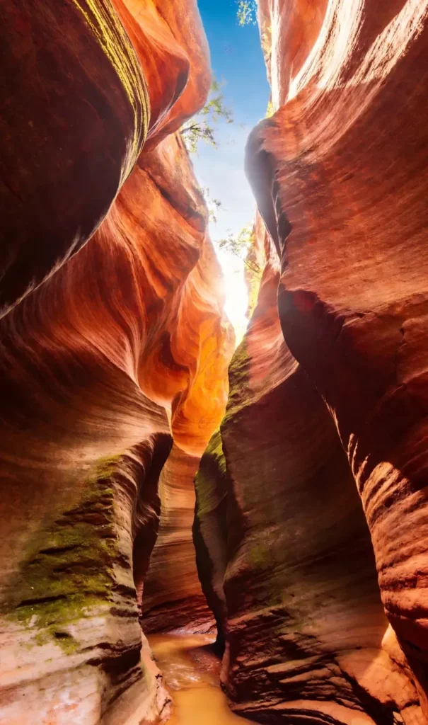 Red evening light glowing on the sandstone walls of Yucha Grand Canyon