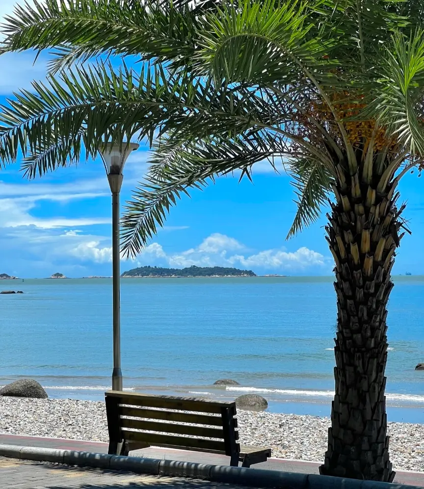 Scenic seaside landscape in Xiamen, China, with the ocean and coastline