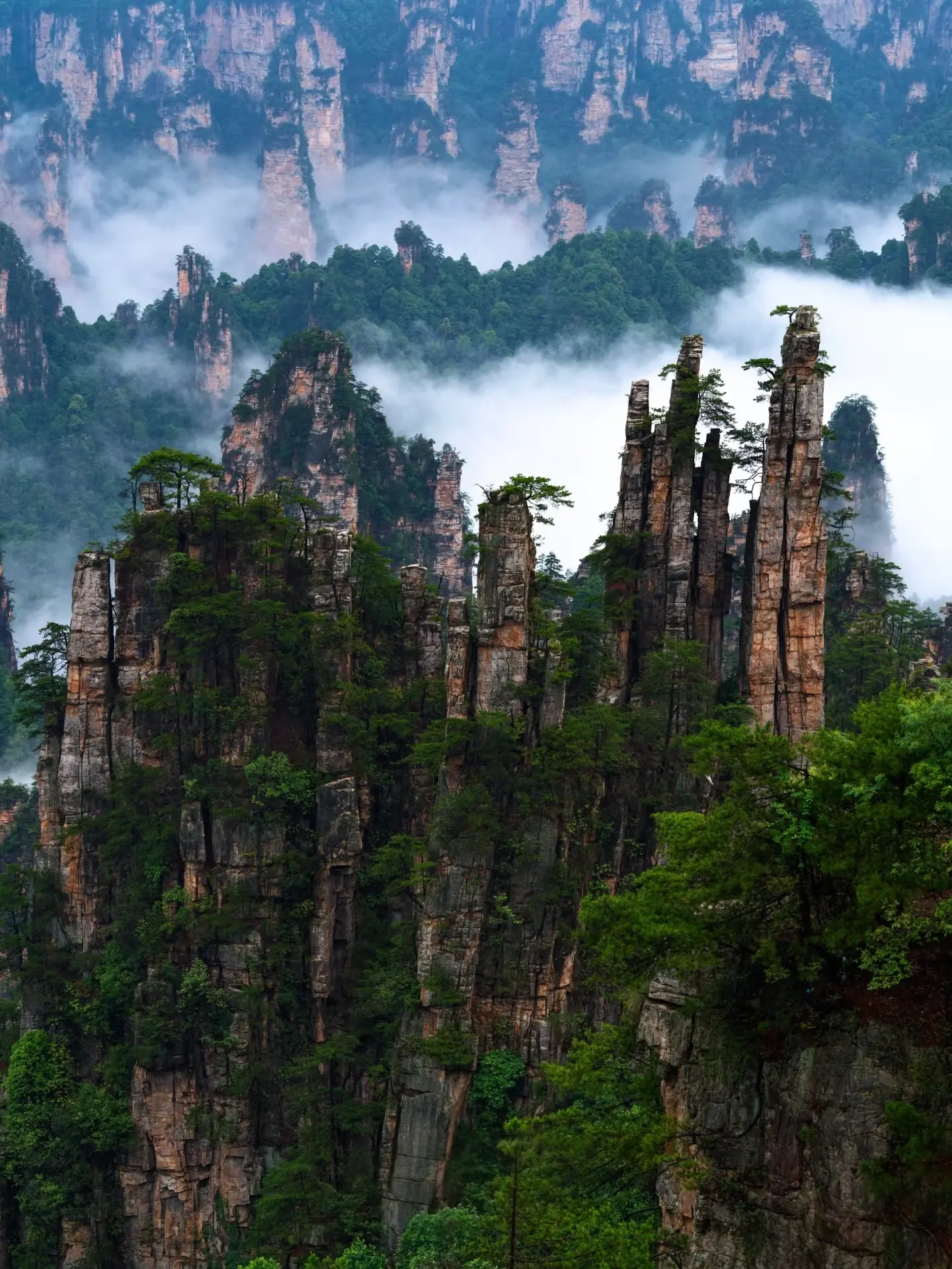 A majestic distant view of thousands of towering quartz sandstone peaks in Wulingyuan - a top highlight for Zhangjiajie travel itineraries