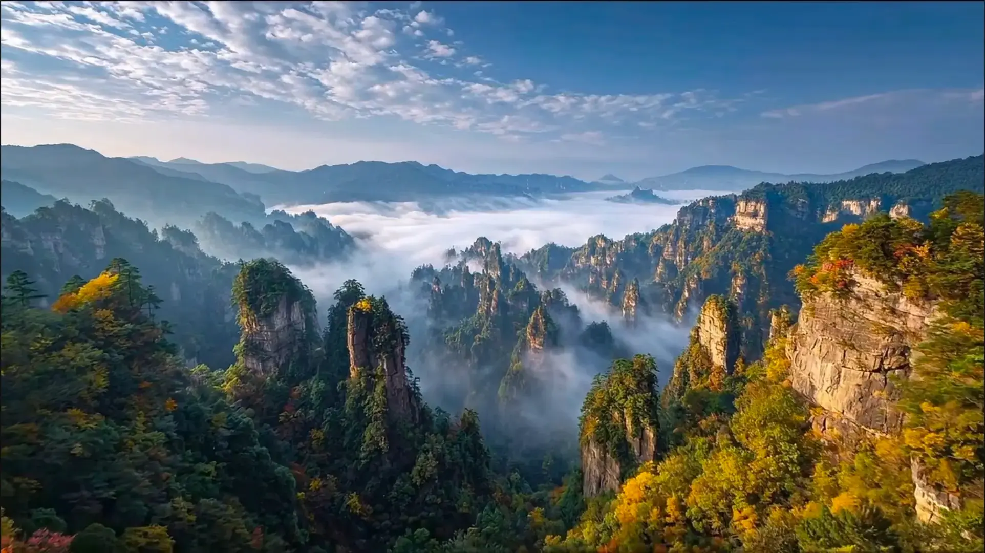 An aerial drone photograph of the Wulingyuan core scenic area, showing towering quartz sandstone pillars emerging from a vast, rolling sea of clouds.