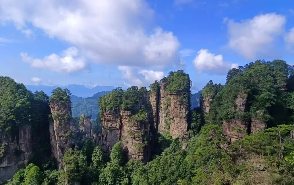 A clear view of the Five-Finger Peak rock formation standing side-by-side in Huangshizhai, Zhangjiajie.