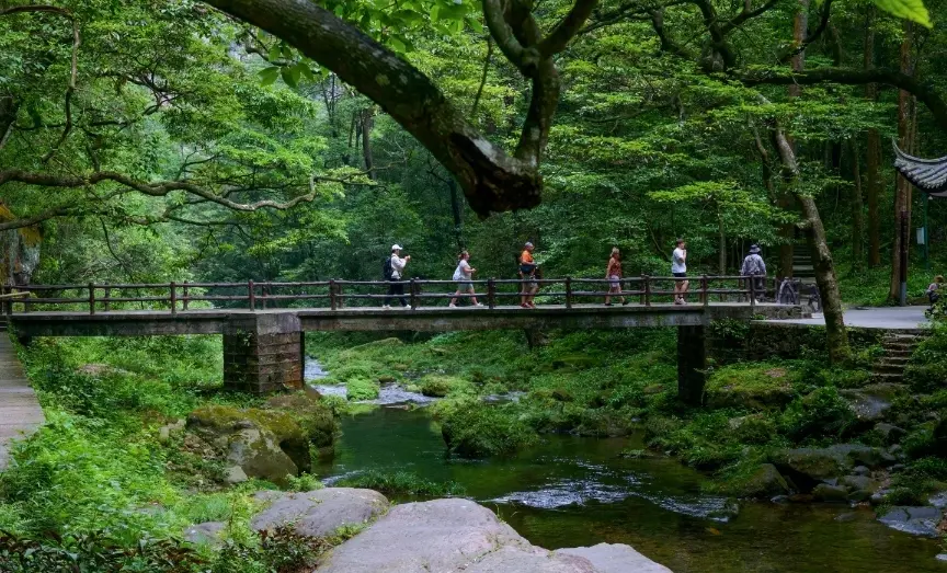 Tourists walking across a small stone bridge over the clear waters along Golden Whip Stream trail.