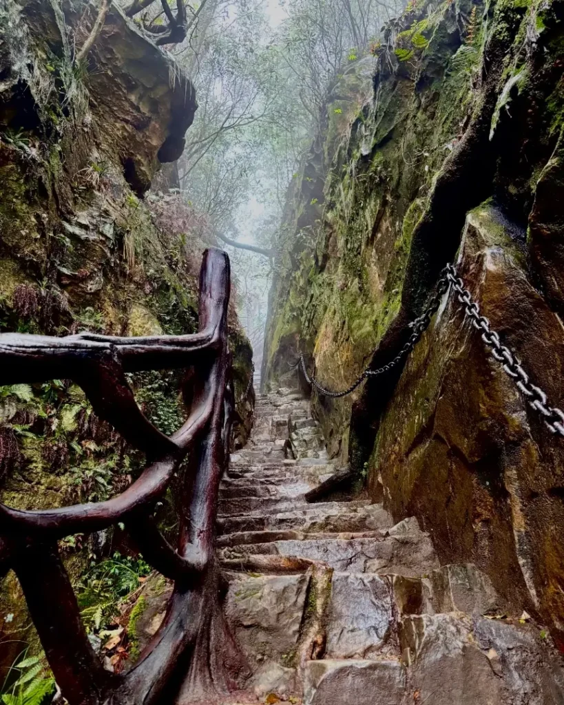 A narrow stone staircase carved along sheer rock cliffs leading up to the historic Oulong Bandit Village in Yangjiajie