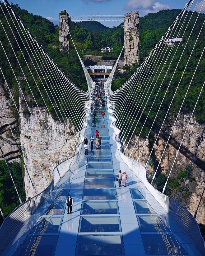 Aerial bird's-eye view of Zhangjiajie Grand Canyon Glass Bridge, with groups of tourists walking across the fully transparent deck, overlooking the deep canyon.
