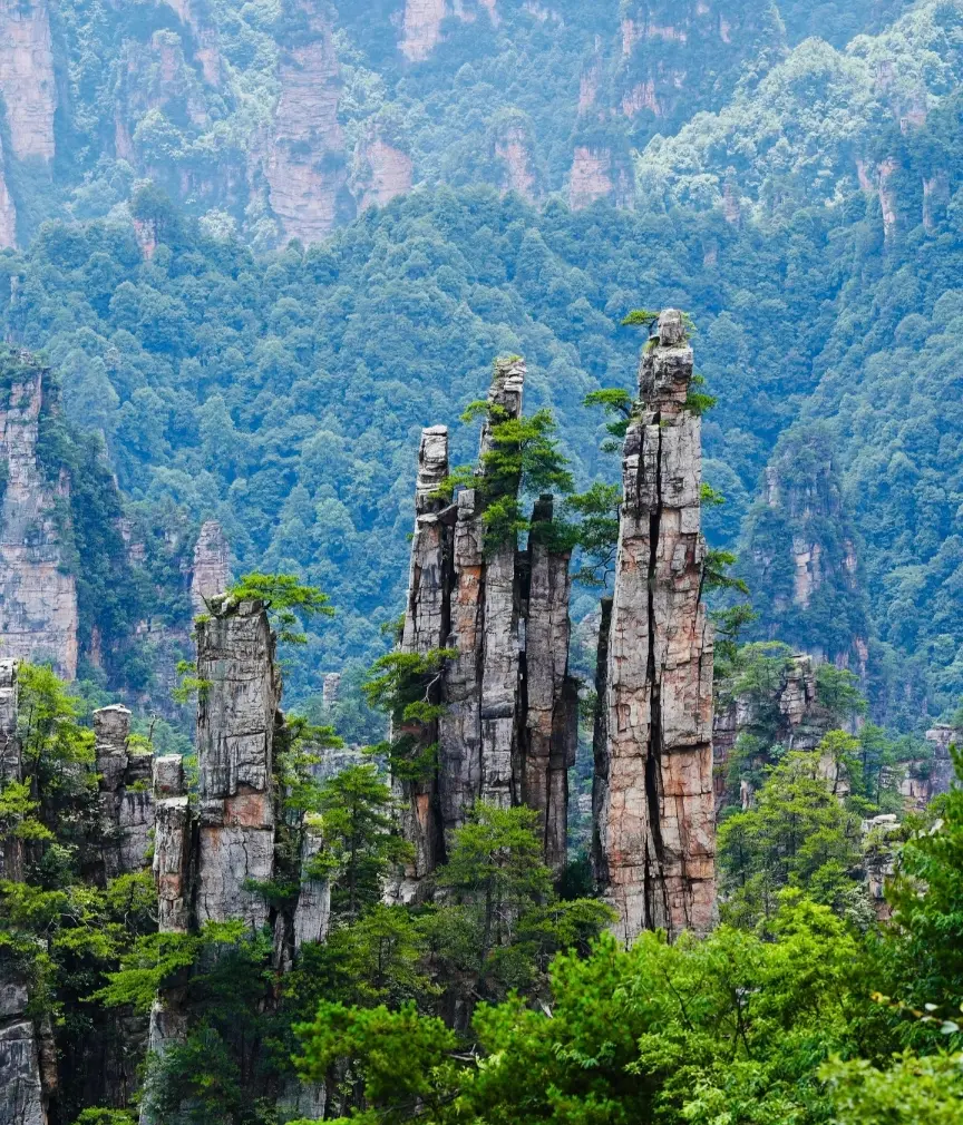 Imperial Writing Brush Peaks in Tianzi Mountain - Zhangjiajie travel guide